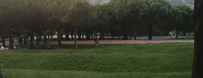 Mevlana Gençlik Parkı is one of สถานที่ที่ Kübra ถูกใจ.