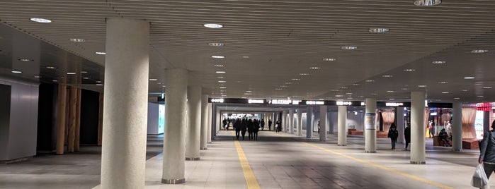 Ekimae-dori Underground Walkway (Chi-Ka-Ho) is one of reminiscence.