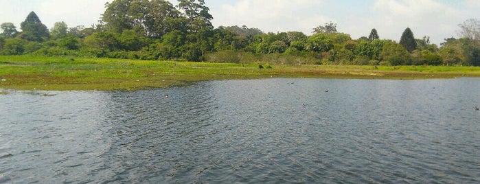 Parque Linear São José is one of passear.