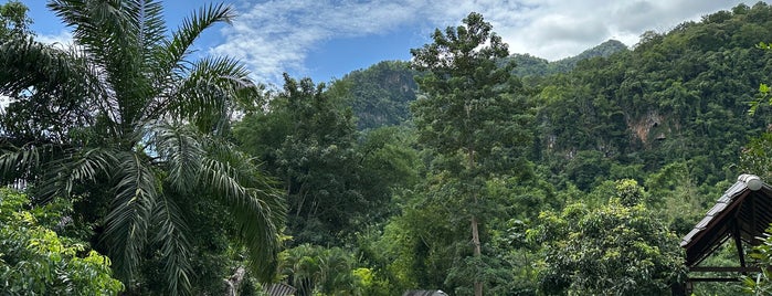 Chiang Dao NEST 2 is one of My favorite places in chiang mai.