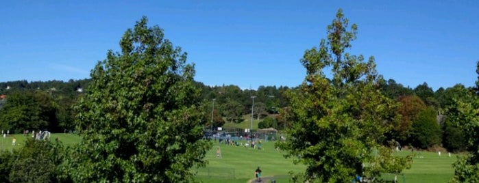 Crum Park is one of Soccer fields.