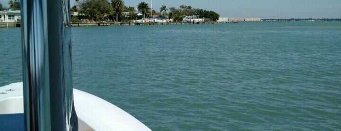 Vina Del Mar Island is one of สถานที่ที่ Sasha ถูกใจ.