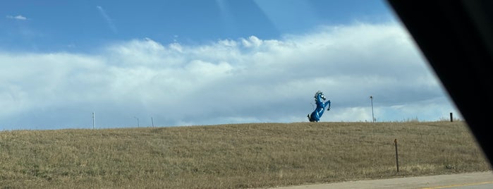 Blue Mustang by Luis Jiménez is one of Denver Roaming!.