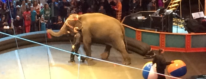 Ringling Bros. And Barnum & Bailey Circus is one of entertainment.
