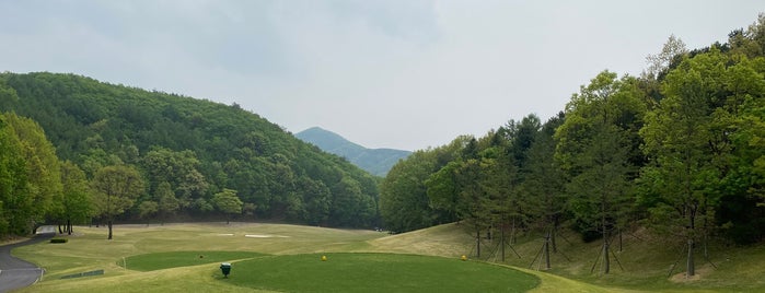 Oak Valley CC is one of henryさんのお気に入りスポット.