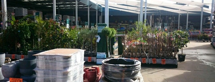 Bunnings Warehouse is one of Local.