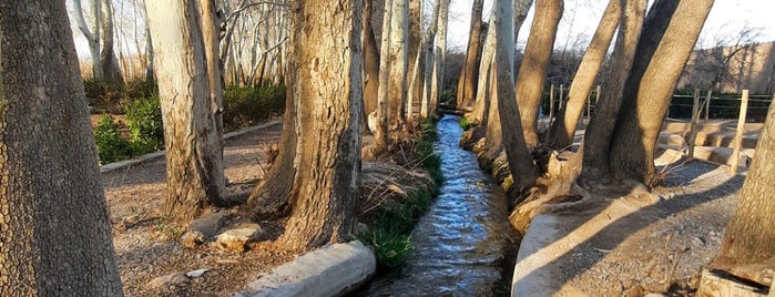 Pahlevanpour's Garden | باغ پهلوان پور is one of Yazd.