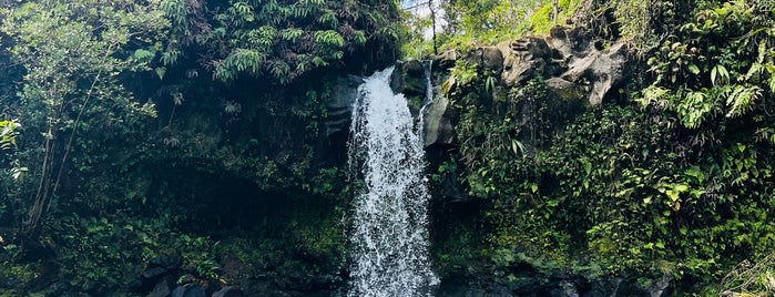 Hanawi Falls is one of Hana.