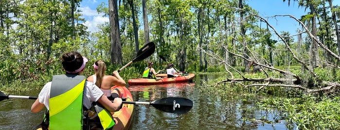 Nola Kayak Swamp Tours Launch Area is one of BEST OF: New Orleans.