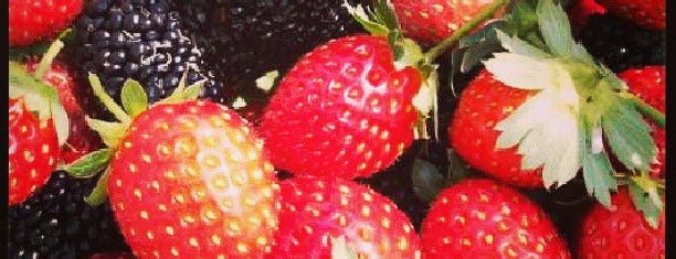 Kebun Strawberry is one of All-time favorites in Indonesia.