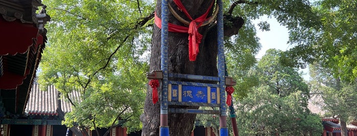 Dongyue Temple is one of China Trip.