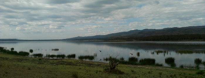 Lake Elementaita is one of Places to visit nearby.