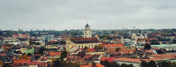 Gedimino Pilies Bokštas | Gediminas’ Tower of the Upper Castle is one of Lugares favoritos de Valeriа.
