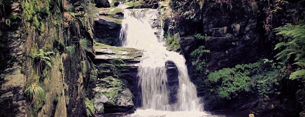 Rešovské vodopády is one of Locais salvos de Štěpán.