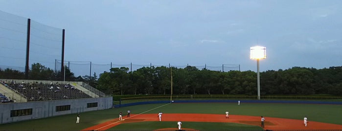 横須賀スタジアム is one of Ballpark.