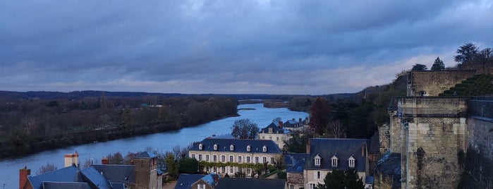Amboise is one of EU - Strolling France.