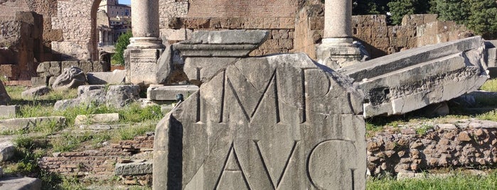 Basilica Aemilia (Emilia) is one of Rome city guide.