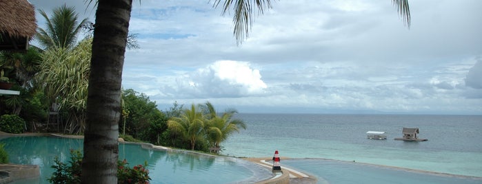 Paradise Island Resort is one of Orte, die Milli gefallen.