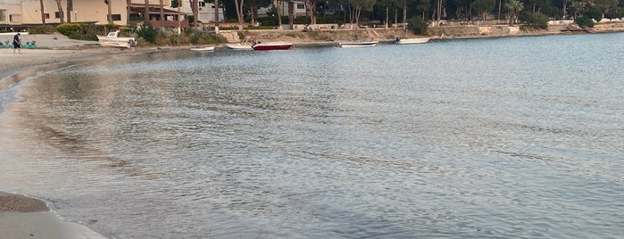 Nayman Beach is one of bedis.
