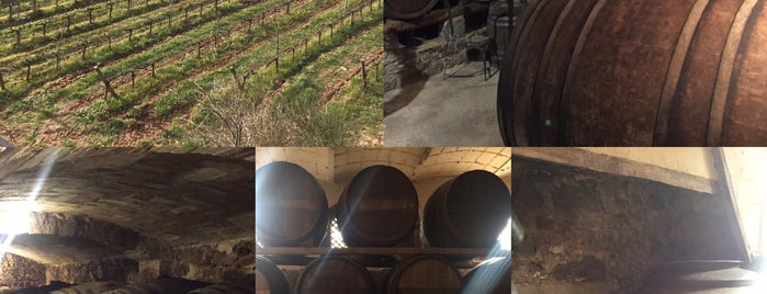 Bodegas Abadal is one of Cellers Pla de Bages.