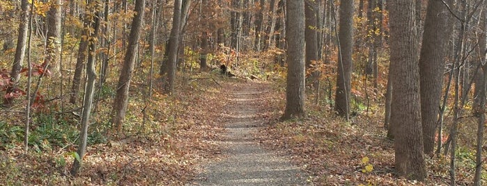 Buttermilk Creek Nature Trail is one of Locais curtidos por Jared.