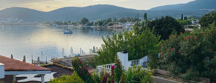 Guide to Bodrum's best spots
