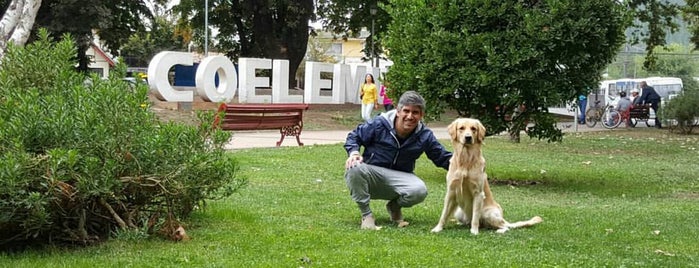 Plaza De Armas is one of La Exiliada del Sur.