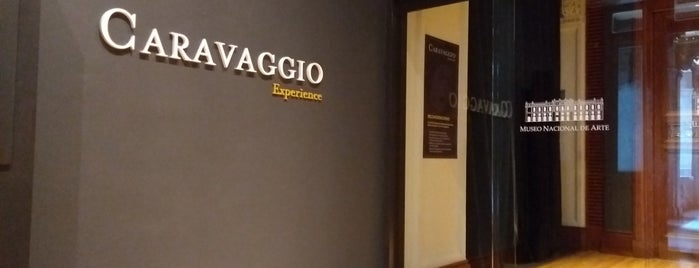Caravaggio. Una Obra, Un Legado. is one of Locais curtidos por Camilo.