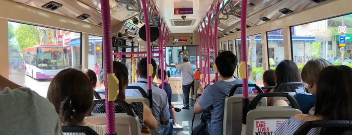 SBS Transit And SMRT Buses