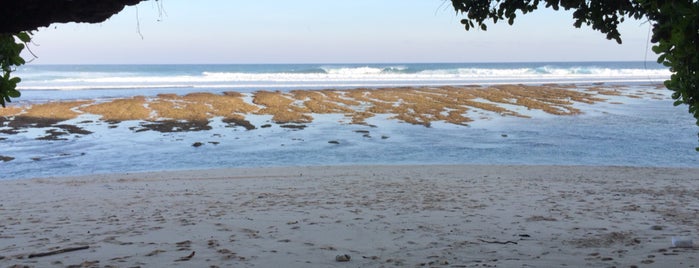 Greenbowl Beach is one of Locais curtidos por Nur.
