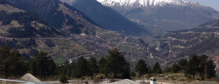 Grand Forest Metsovo is one of Metsovo-Giannena.
