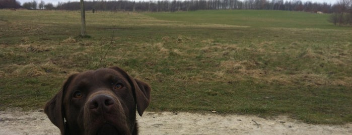 Rushcliffe Country Park is one of Orte, die Paul gefallen.