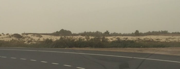 Al Wathba Camel Race Track is one of สถานที่ที่ Lisa ถูกใจ.