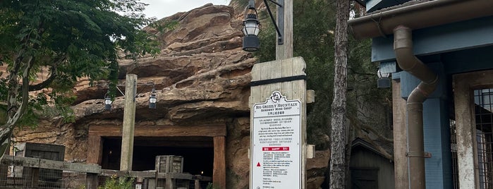 Big Grizzly Mountain Runaway Mine Cars is one of Tempat yang Disukai George.
