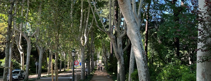 Campo del Moro is one of Madrid, Spain.