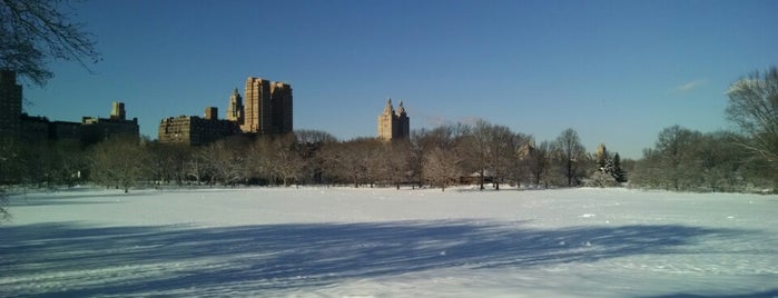 Central Park is one of Winter & Snowy Days in NYC.