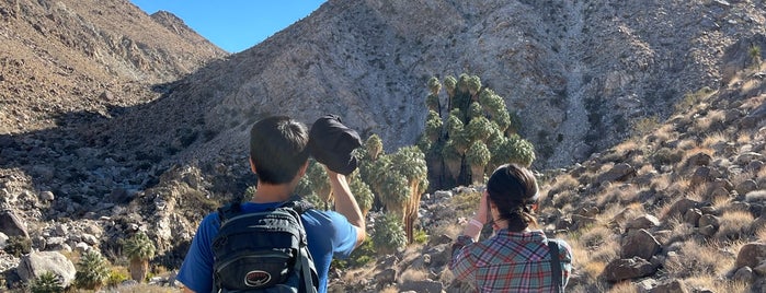 Fortynine Palms Oasis Trail is one of LA.