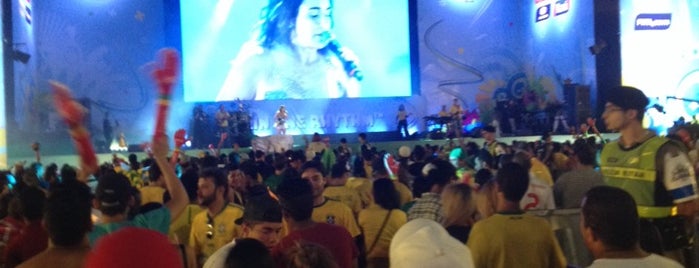 FIFA Fan Fest is one of BrazilTwentyFourteen.