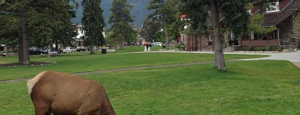 Jasper Park Information Centre is one of Tempat yang Disukai Lizzie.