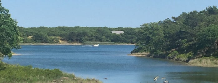 Edgartown Great Pond is one of Jared : понравившиеся места.