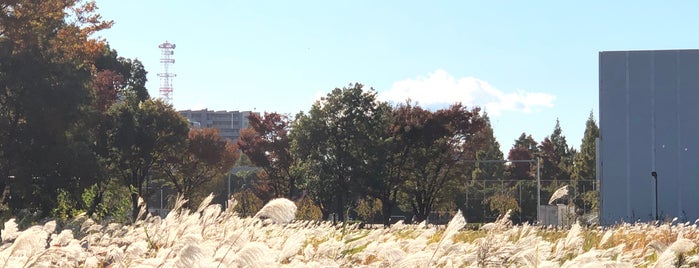 Ogunohara Park is one of Lugares favoritos de Masahiro.