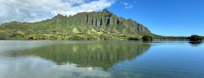 Moli'i Fishpond is one of My Hawaiian Dream.