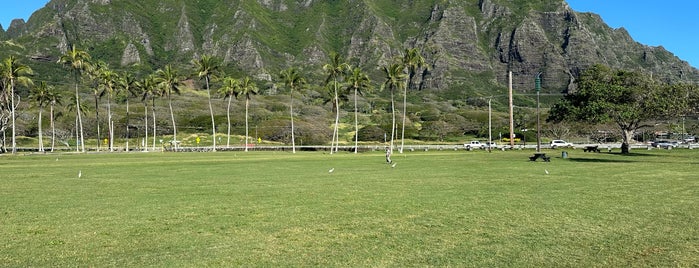 Kualoa Ranch is one of Oahu: The Gathering Place.