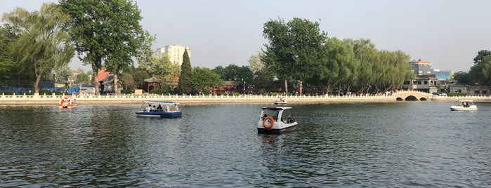 Shichahai Park is one of Beijing Baobao.