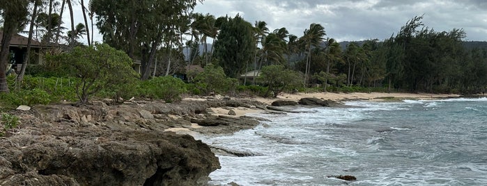 Turtle Bay Beach is one of Hawaii.