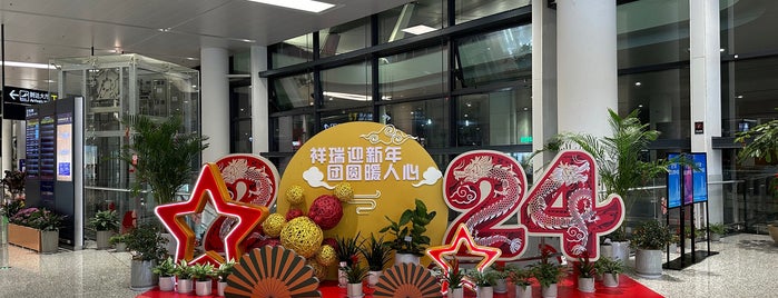 Ningbo Lishe International Airport (NGB) is one of Airports - I've been.