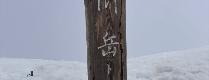 トマの耳 is one of 日本の🗻ちゃん(⌒▽⌒).