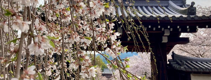 Daigo-ji Temple is one of World Heritage.