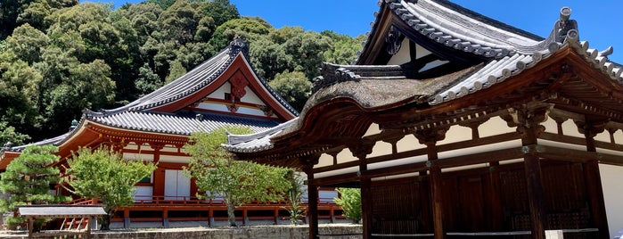 天野山 金剛寺 is one of ロードバイク.