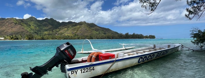 Coco Beach - Motu Tiahura - Moorea is one of Tahiti and Mo’orea.